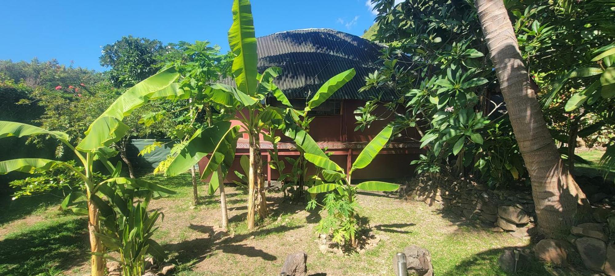 Location " La Pirogue " Maison D'Hotes A Moorea Haapiti Eksteriør bilde